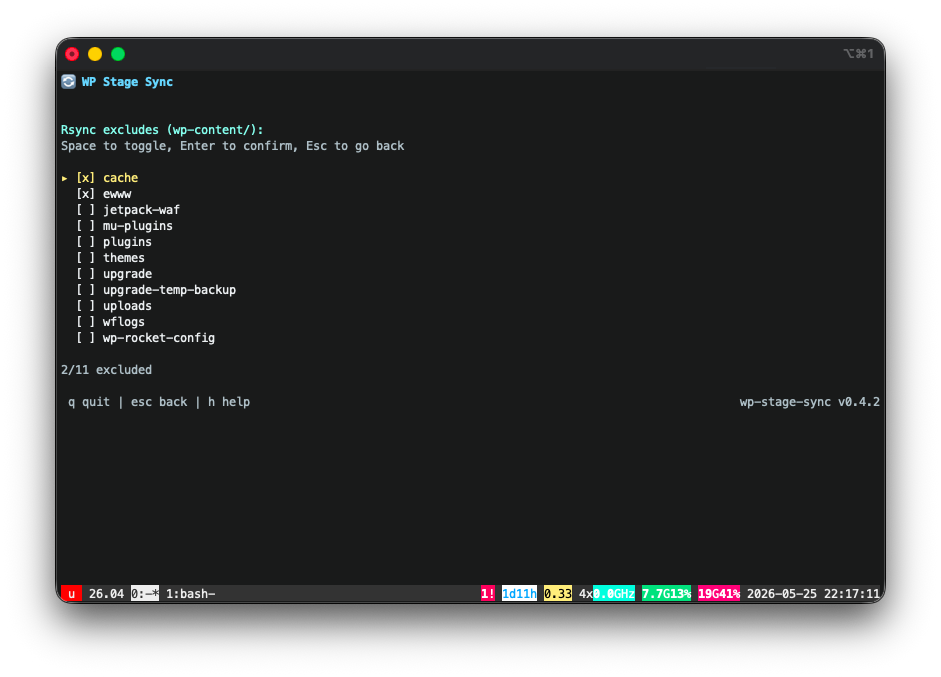 Rsync excludes